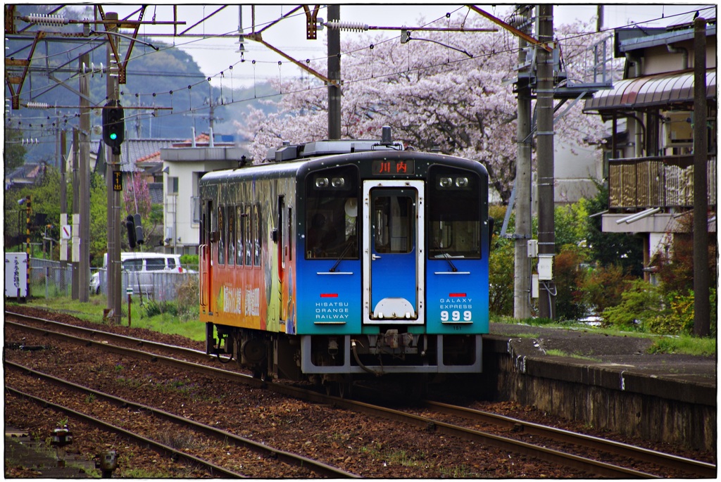ばいばい、またね