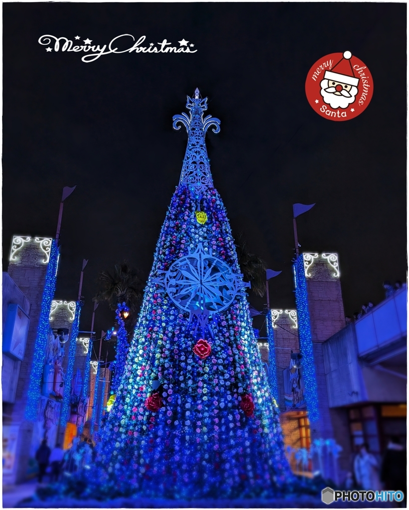 蒼い薔薇のクリスマスツリー☆