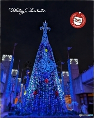 蒼い薔薇のクリスマスツリー☆