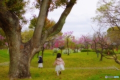 花園を駆け抜ける天使たち