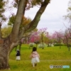 花園を駆け抜ける天使たち