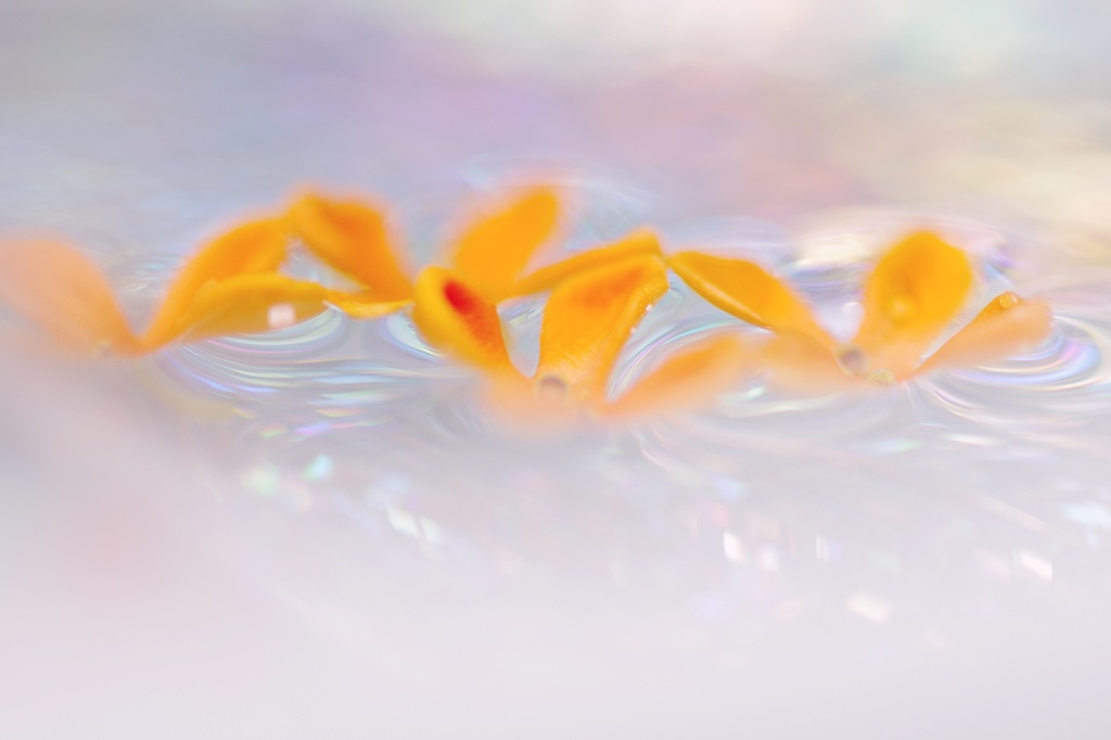 虹色の流れに