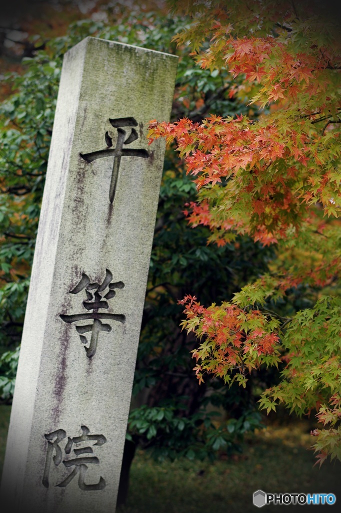 平等院紅葉