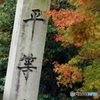 平等院紅葉
