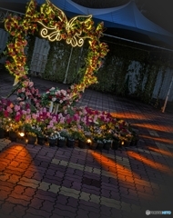 観覧車の下のハートイルミ♡