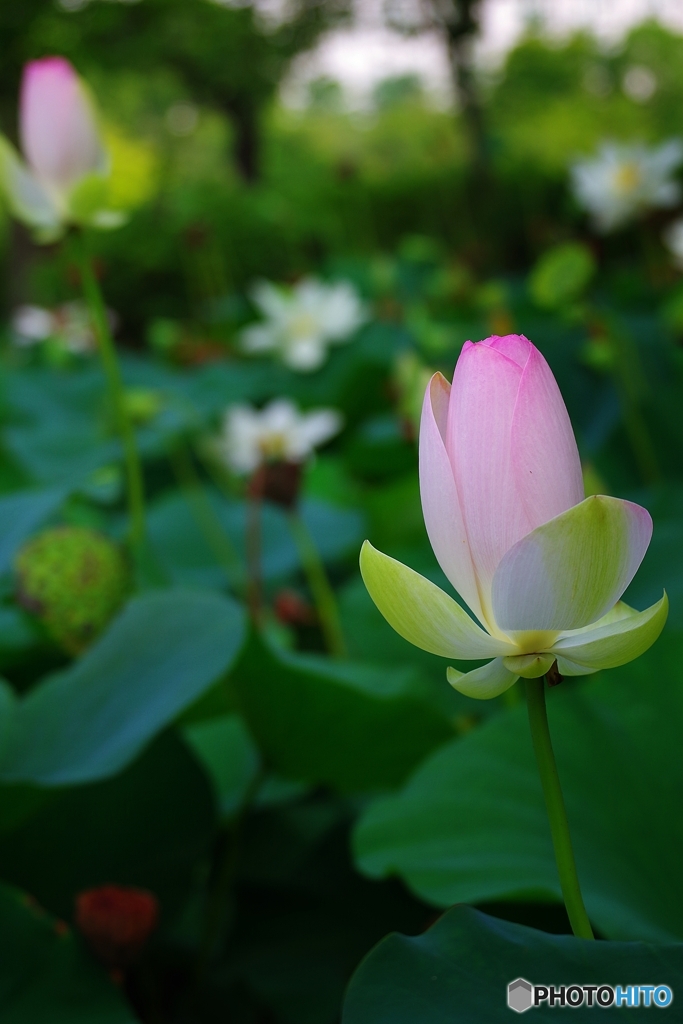 来年またね、バイバイ