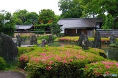 松尾大社 蓬莱の庭