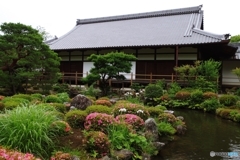 等持院 西庭 芙蓉池からの方丈