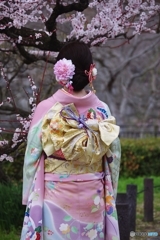 きれいやわあ～