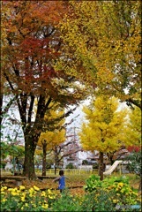 木の葉舞う公園で