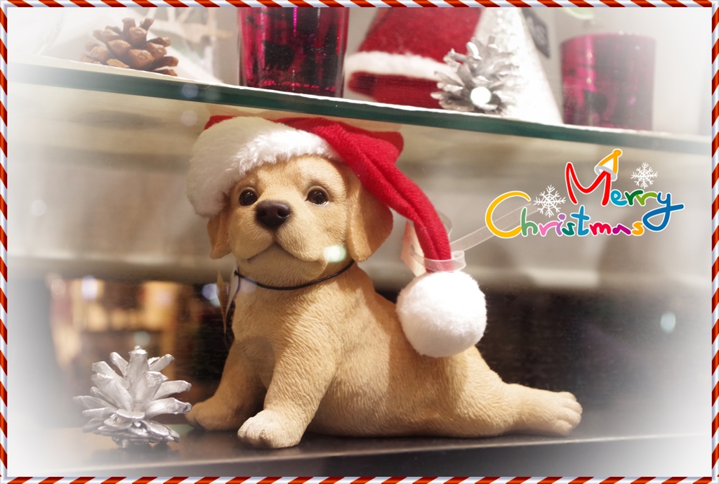 Merry Christmas ☆