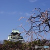 大阪城梅林