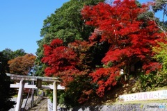 近くのお山・信貴山