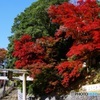 近くのお山・信貴山