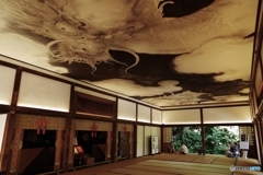 西来院 阿吽の白龍 阿形の若い龍
