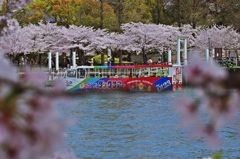 OSAKAダックツアー