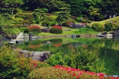 大仙公園 サツキ咲く日本庭園