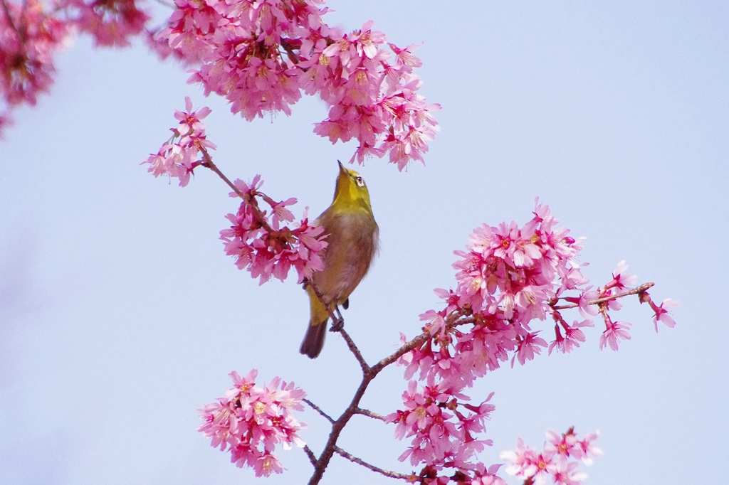 ご満悦♪