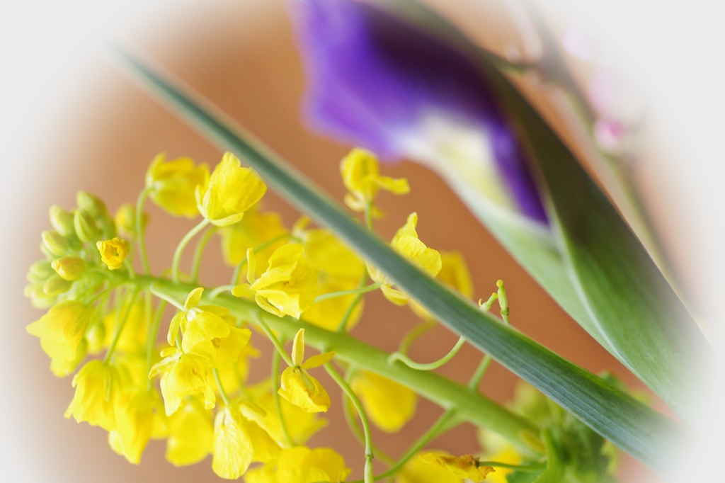 町角の生け花