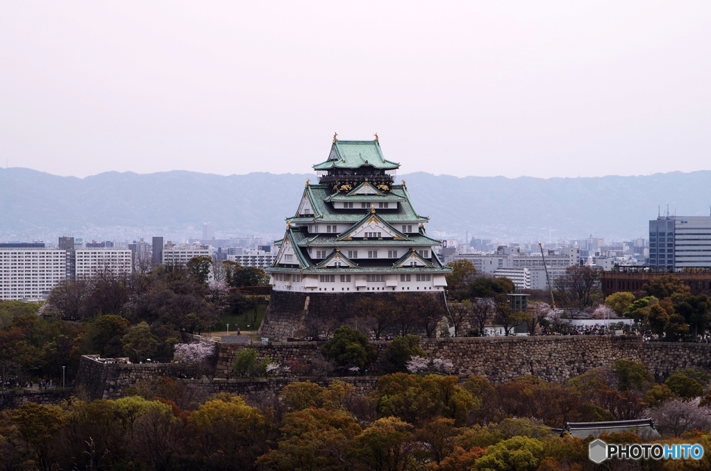 春の大阪城俯瞰