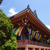 風わたる智積院・金堂
