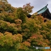 ラストウォーキング紅葉in大阪城