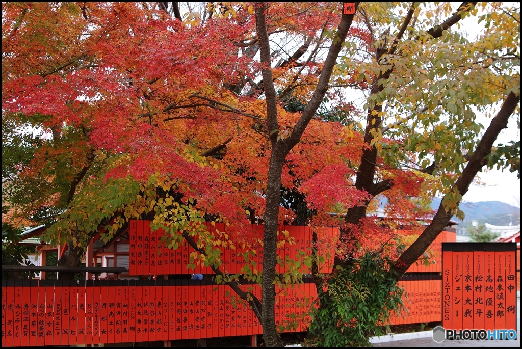 車折神社で推し活(笑)