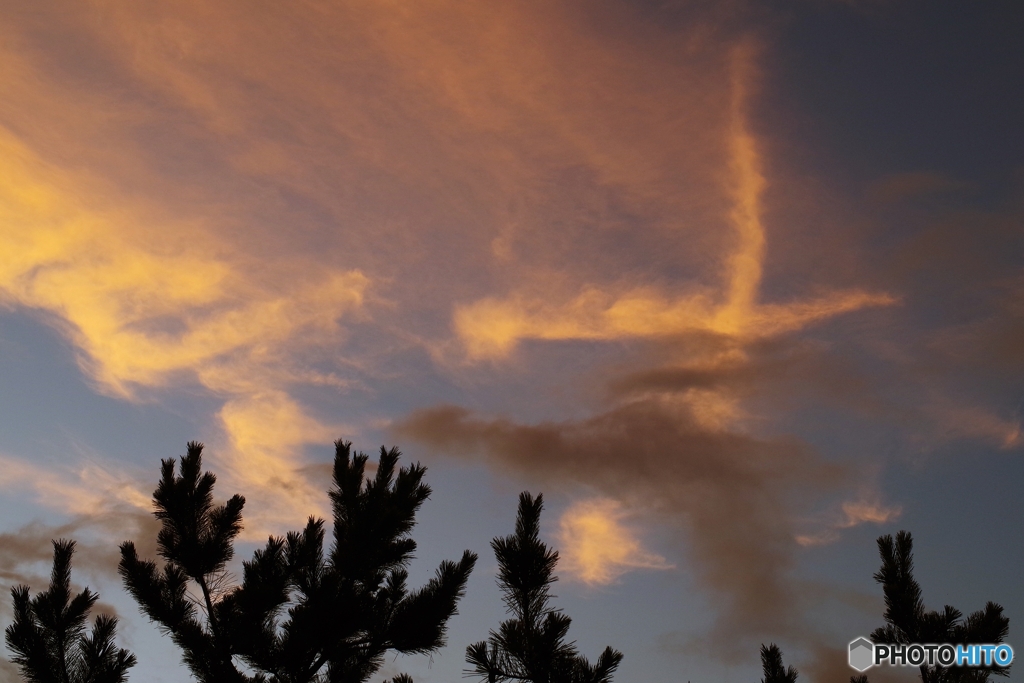 火の鳥のような夕焼け雲