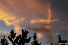 火の鳥のような夕焼け雲