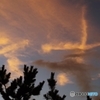 火の鳥のような夕焼け雲