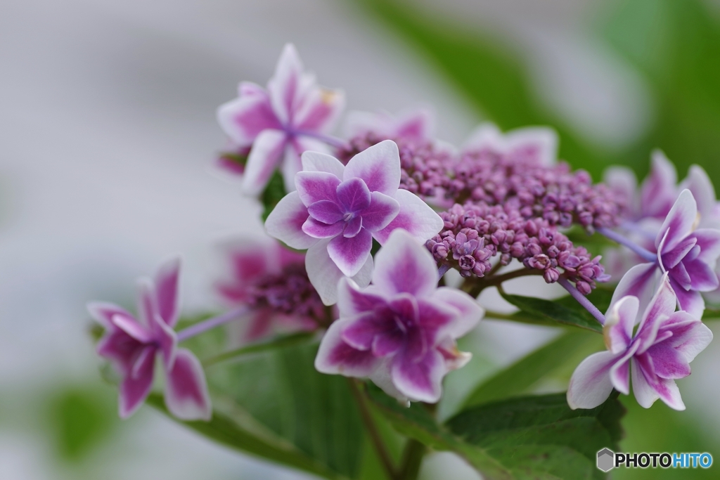 見守る星のように…