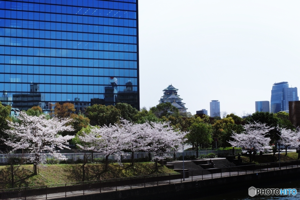 ちっちゃい大阪城と桜