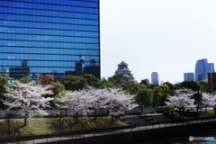 ちっちゃい大阪城と桜