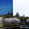 ちっちゃい大阪城と桜