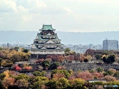 ラスト紅葉の大阪城