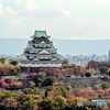 ラスト紅葉の大阪城