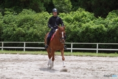 平安騎馬隊 大江号