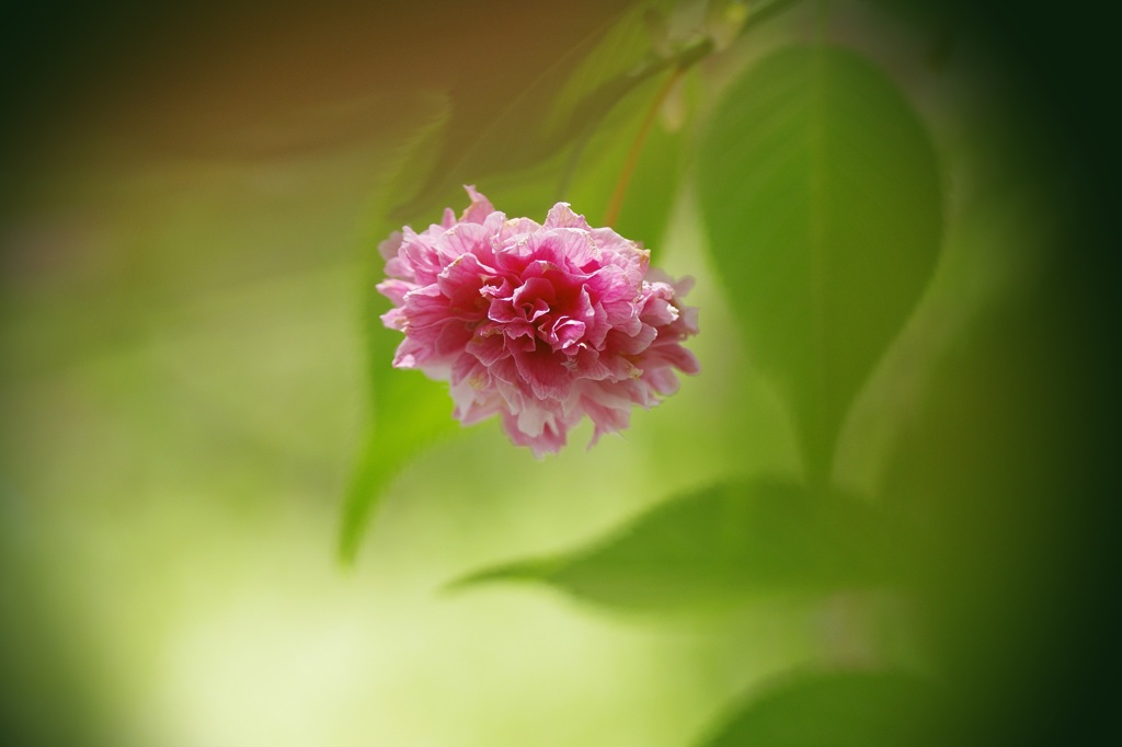 あなたには希望の匂いがする～♬ 