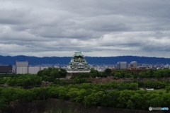 初夏の大阪城