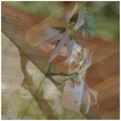 鷺草と風鈴