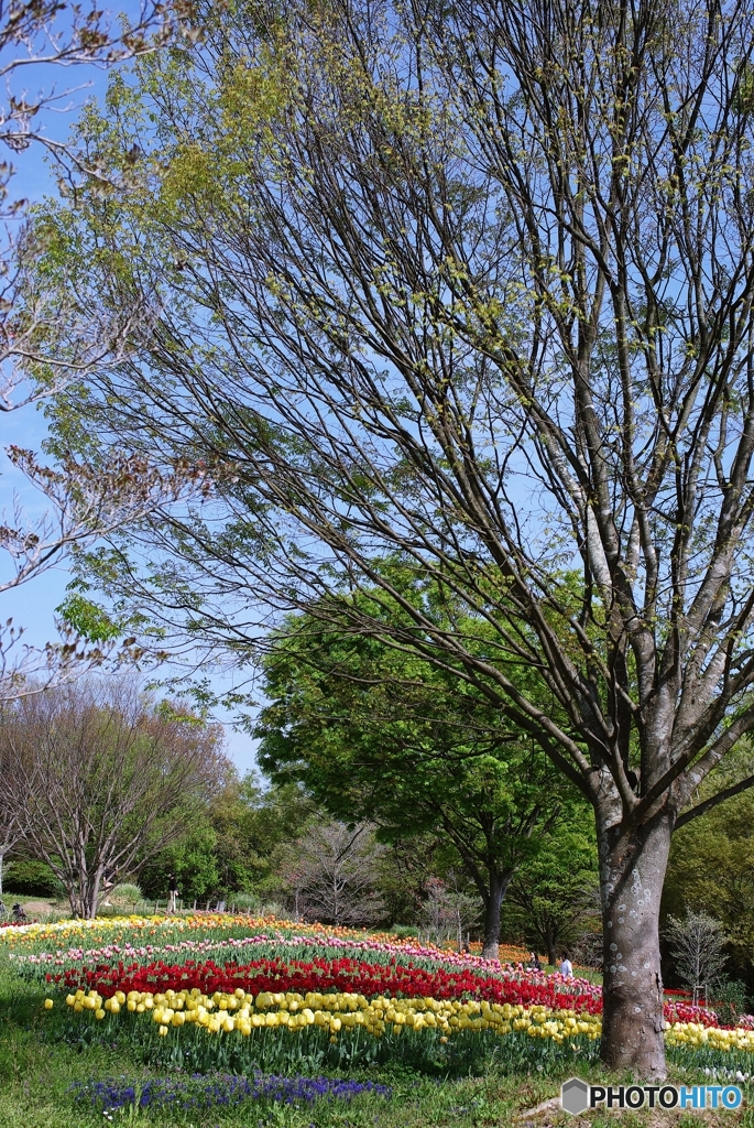 樹々に囲まれて