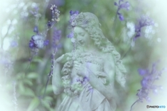 女神さまに紫の花を