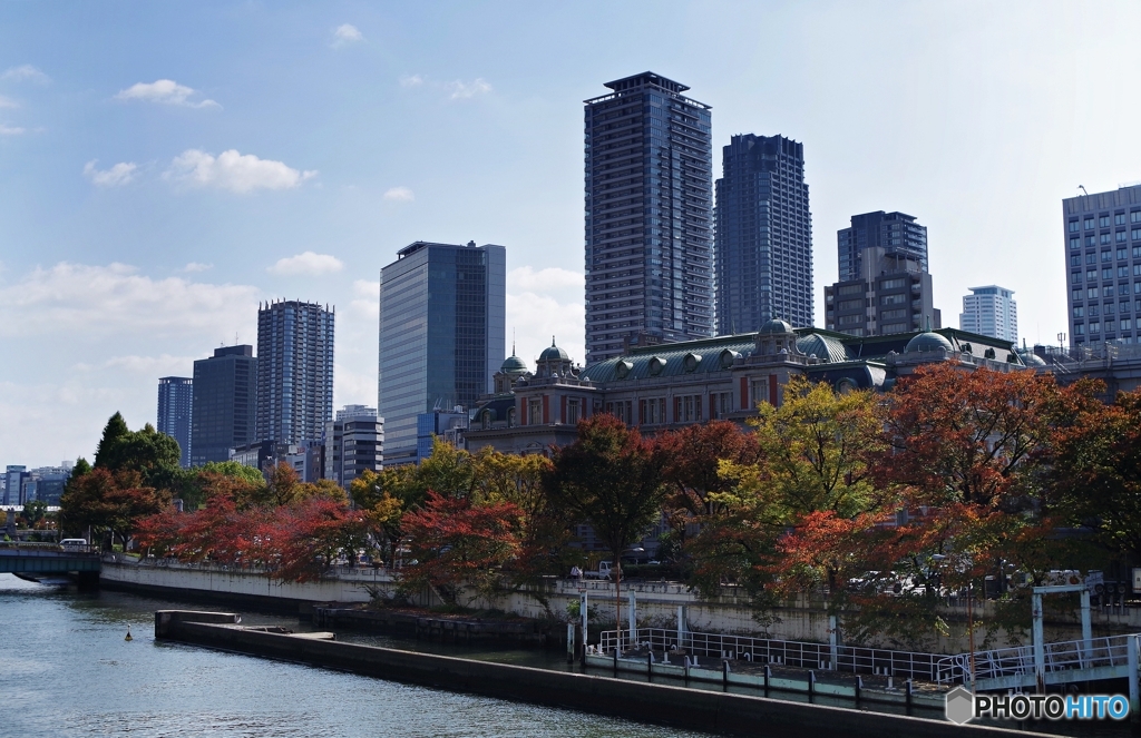 川沿いの紅葉に包まれた新旧ビルディング