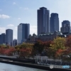 川沿いの紅葉に包まれた新旧ビルディング