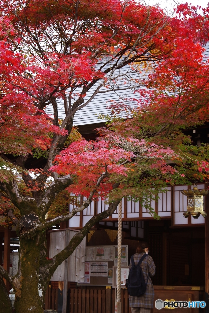願いが叶いますように☆@車折神社