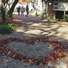 八幡さまのはあと