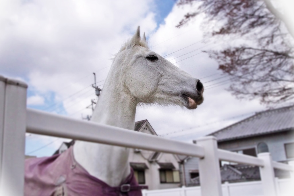 こんにちは。^^