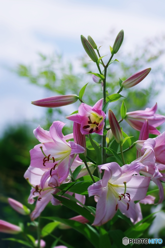 お見舞いの花束♡