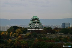 たった今･･･晩秋の大阪城