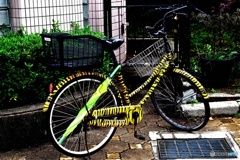 Bicycle of a zoo staff